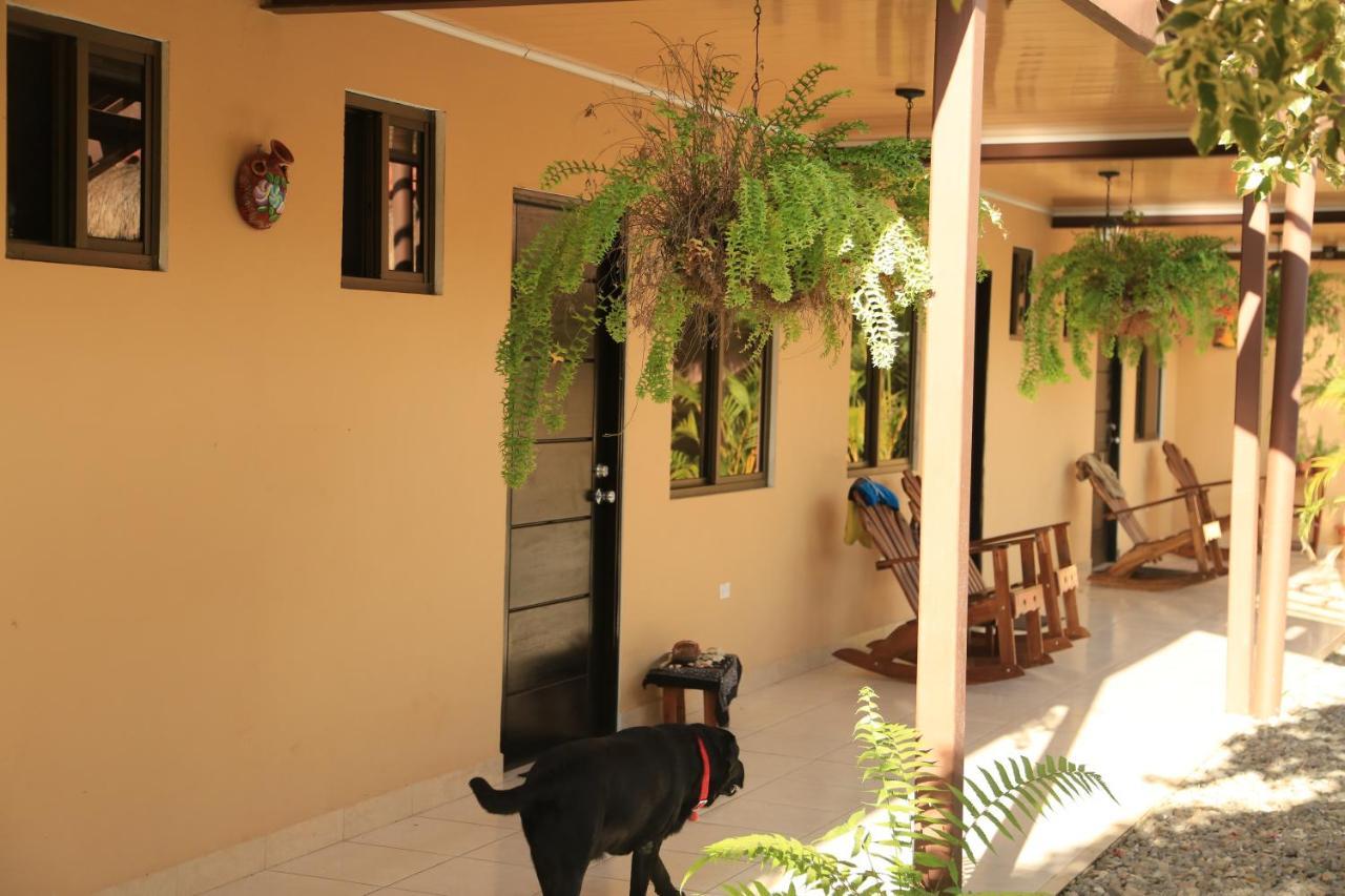 Roxy'S Bed & Breakfast Boca Chica Dış mekan fotoğraf